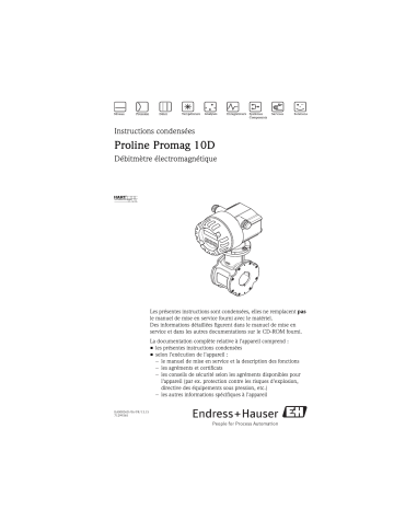 Endres+Hauser Proline Promag 10D Brief Manuel utilisateur | Fixfr