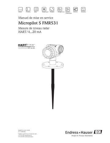 Endres+Hauser Micropilot S FMR531 HART Mode d'emploi | Fixfr