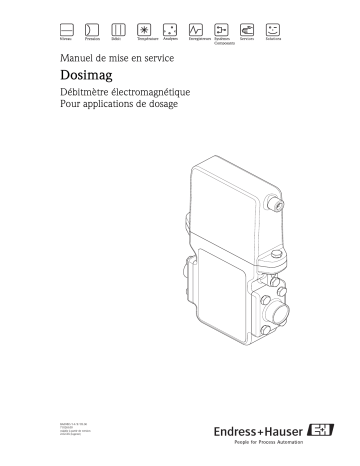 Endres+Hauser Dosimag Mode d'emploi | Fixfr