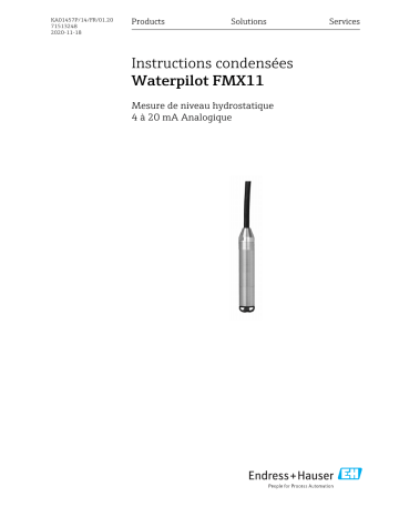 Endres+Hauser Waterpilot FMX11 Manuel utilisateur | Fixfr