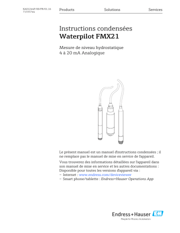 Endres+Hauser Waterpilot FMX21 Brief 4 to 20 mA Analog Manuel utilisateur | Fixfr