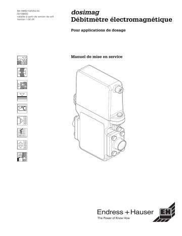 Endres+Hauser Dosimag Mode d'emploi | Fixfr