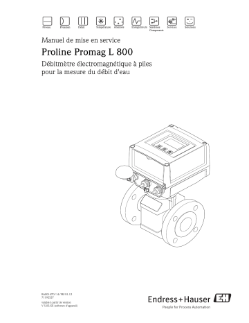 Endres+Hauser Proline Promag L 800 Mode d'emploi | Fixfr