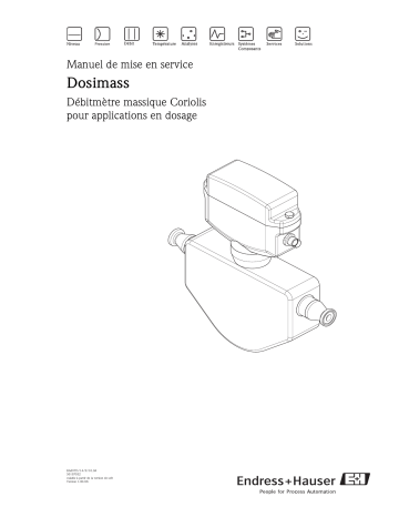 Endres+Hauser dosimass Mode d'emploi | Fixfr