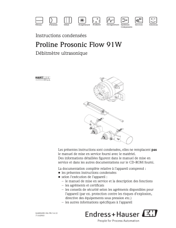 Endres+Hauser Proline Prosonic Flow 91W Brief Manuel utilisateur | Fixfr