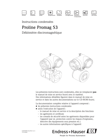 Endres+Hauser Proline Promag 53 Brief Manuel utilisateur | Fixfr