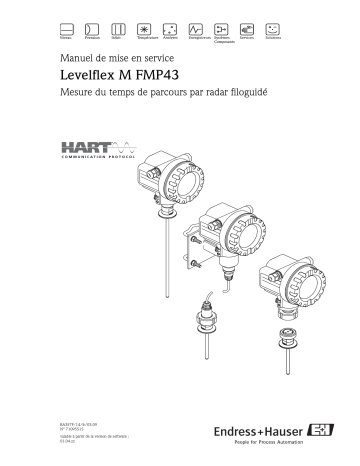 Endres+Hauser Levelflex M FMP43 HART Mode d'emploi | Fixfr