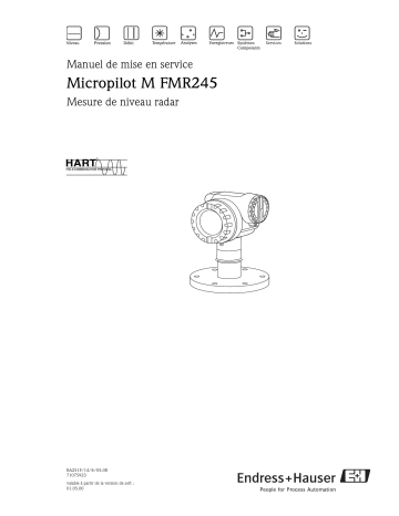 Endres+Hauser Micropilot M FMR245 HART Mode d'emploi | Fixfr