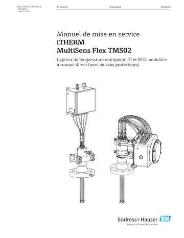 Endres+Hauser iTHERM MultiSens Flex TMS02 Mode d'emploi | Fixfr