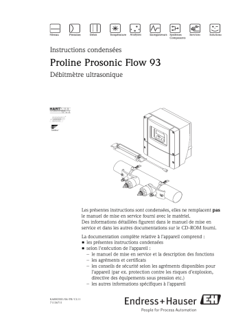 Endres+Hauser Proline Prosonic Flow 93 Brief Manuel utilisateur | Fixfr