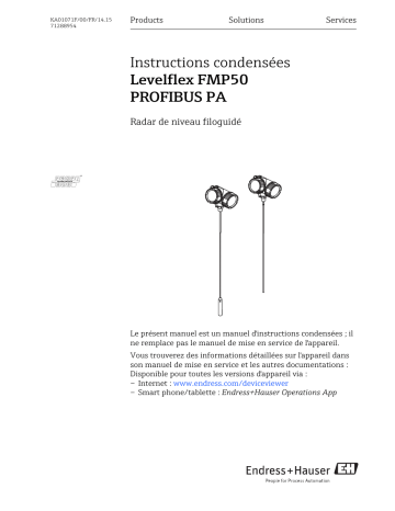 Endres+Hauser Levelflex FMP50 PROFIBUS PA Brief Manuel utilisateur | Fixfr
