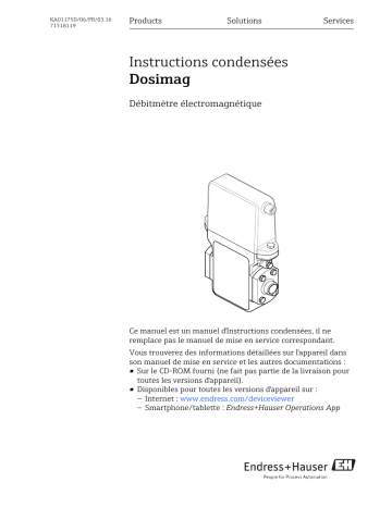 Endres+Hauser Dosimag Brief Manuel utilisateur | Fixfr