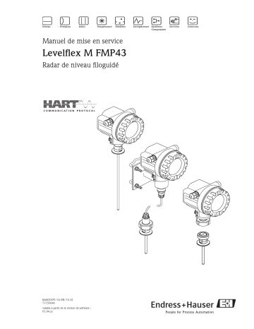 Endres+Hauser Levelflex M FMP43 HART Mode d'emploi | Fixfr