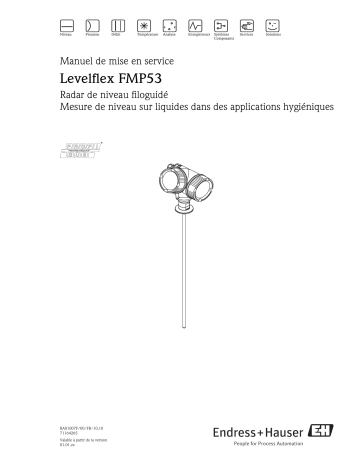 Endres+Hauser Levelflex FMP53 PROFIBUS PA Mode d'emploi | Fixfr