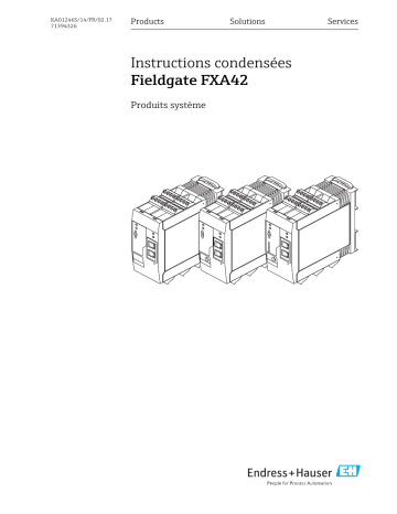 Endres+Hauser Fieldgate FXA42 Manuel utilisateur | Fixfr