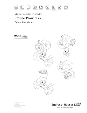 Endres+Hauser Proline Prowirl 72 HART Mode d'emploi | Fixfr