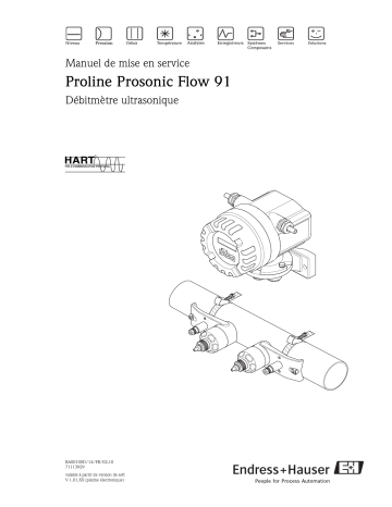 Endres+Hauser Prosonic Flow 91 Mode d'emploi | Fixfr