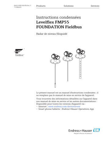 Endres+Hauser Levelflex FMP55 FOUNDATION Fieldbus Brief Manuel utilisateur | Fixfr