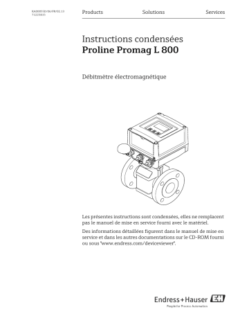 Endres+Hauser Proline Promag L 800 Brief Manuel utilisateur | Fixfr