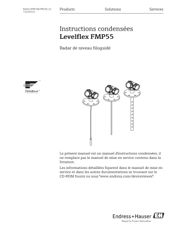 Endres+Hauser Levelflex FMP55 FOUNDATION Fieldbus Brief Manuel utilisateur | Fixfr