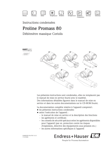 Endres+Hauser Proline Promass 80 Brief Manuel utilisateur | Fixfr