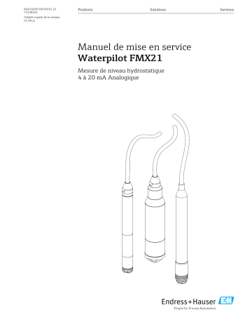 Endres+Hauser Waterpilot FMX21 4 to 20 mA Analog Mode d'emploi | Fixfr