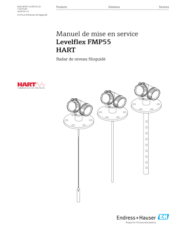 Endres+Hauser Levelflex FMP55 HART Mode d'emploi | Fixfr