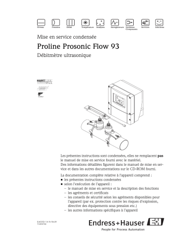 Endres+Hauser Proline Prosonic Flow 93 Brief Manuel utilisateur | Fixfr