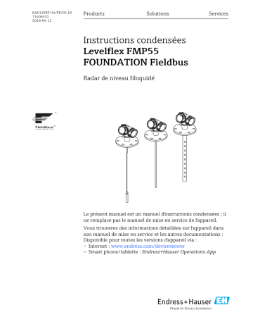 Endres+Hauser Levelflex FMP55 FOUNDATION Fieldbus Brief Manuel utilisateur | Fixfr