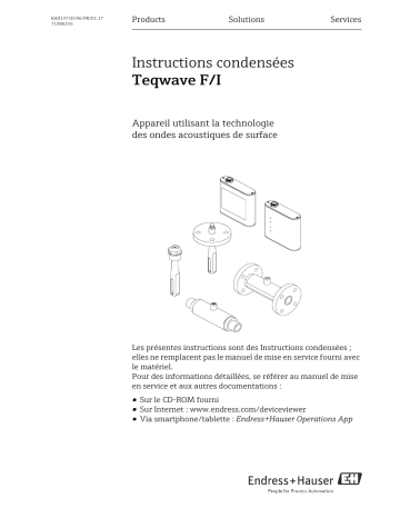 Endres+Hauser Teqwave F/I Brief Manuel utilisateur | Fixfr