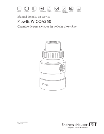 Endres+Hauser COA250 Mode d'emploi | Fixfr