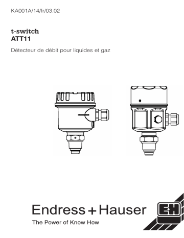 Endres+Hauser t-switch Manuel utilisateur | Fixfr