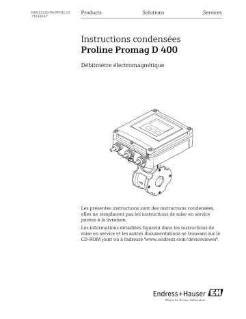 Endres+Hauser Proline Promag D 400 Brief Manuel utilisateur | Fixfr