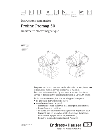 Endres+Hauser Proline Promag 50 Brief Manuel utilisateur | Fixfr