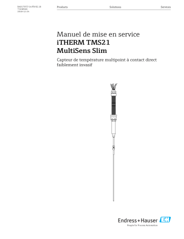 Endres+Hauser iTHERM TMS21 MultiSens Slim Mode d'emploi | Fixfr
