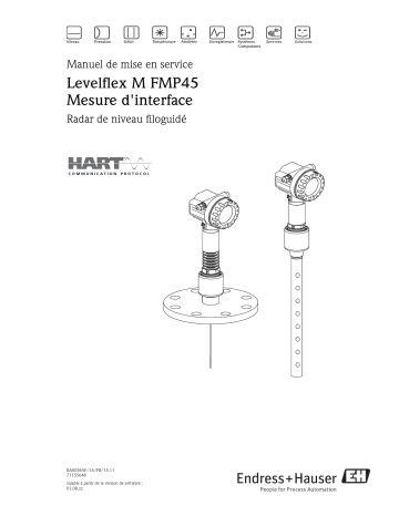 Endres+Hauser Levelflex M FMP45 Interface measurement Mode d'emploi | Fixfr