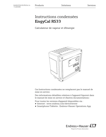 Endres+Hauser EngyCal RS33 Brief Manuel utilisateur | Fixfr
