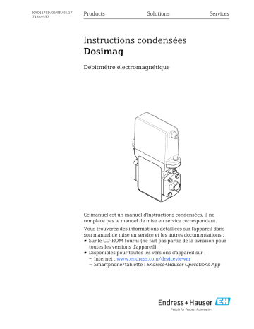 Endres+Hauser Dosimag Brief Manuel utilisateur | Fixfr