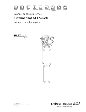 Endres+Hauser Gammapilot M FMG60 HART Mode d'emploi | Fixfr