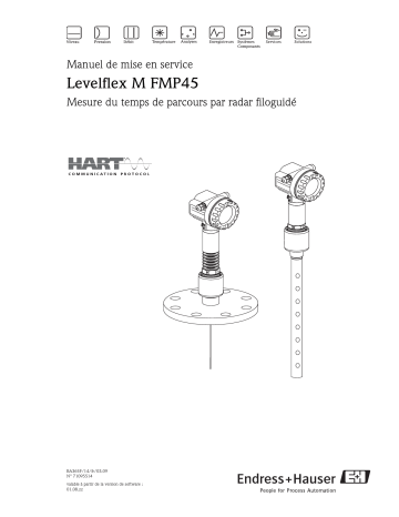 Endres+Hauser Levelflex M FMP45 Interface measurement Mode d'emploi | Fixfr