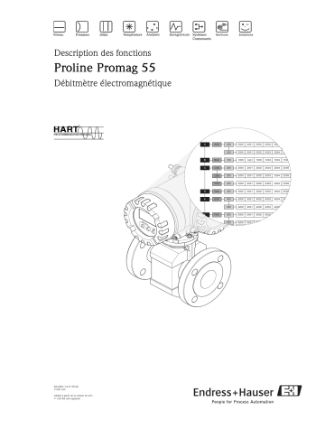 Endres+Hauser PROLINE PROMAG 55 Mode d'emploi | Fixfr