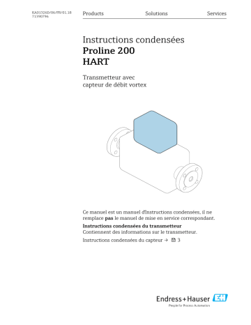 Endres+Hauser Flowmeter Proline 200 Brief Manuel utilisateur | Fixfr