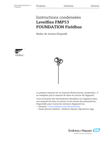 Endres+Hauser Levelflex FMP53 FOUNDATION Fieldbus Brief Manuel utilisateur | Fixfr