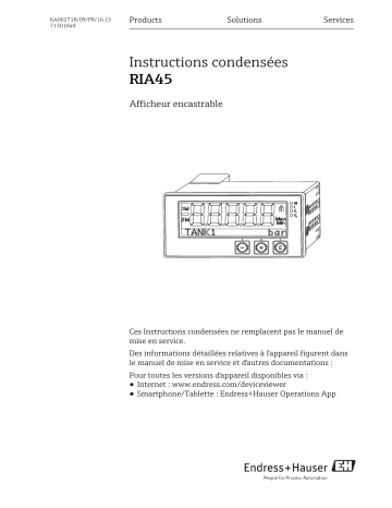 Endres+Hauser RIA45 Brief Manuel utilisateur | Fixfr