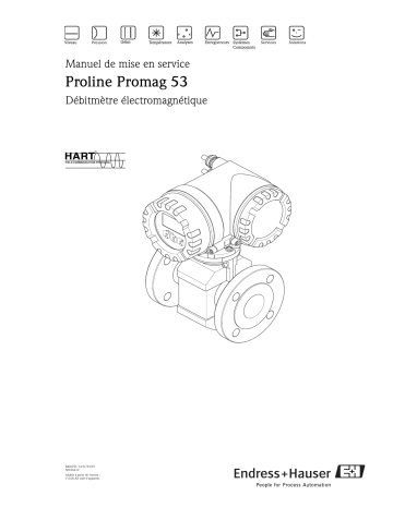 Endres+Hauser Proline Promag 53 HART Mode d'emploi | Fixfr
