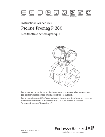 Endres+Hauser Proline Promag P 200 Brief Manuel utilisateur | Fixfr
