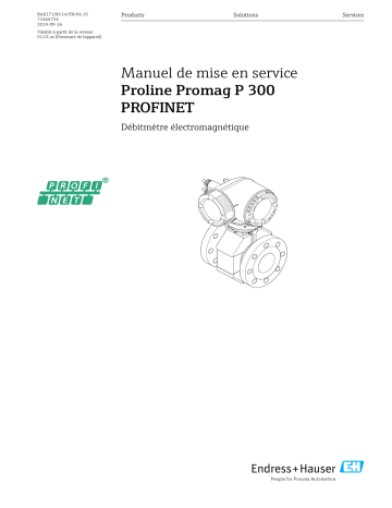 Endres+Hauser Proline Promag P 300 PROFINET Mode d'emploi | Fixfr