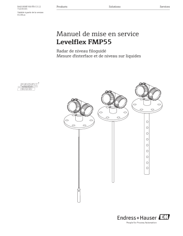 Endres+Hauser Levelflex FMP55 PROFIBUS PA Mode d'emploi | Fixfr