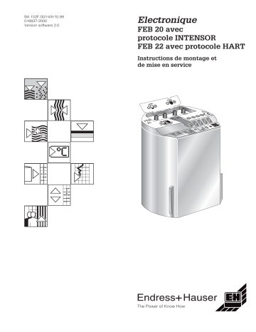 Endres+Hauser Electronic insert FEB 20 Mode d'emploi | Fixfr