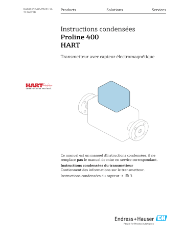 Endres+Hauser Flowmeter Proline 400 Manuel utilisateur | Fixfr